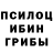 Псилоцибиновые грибы Magic Shrooms Siranush Oganesyan
