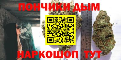 крисы Баксан