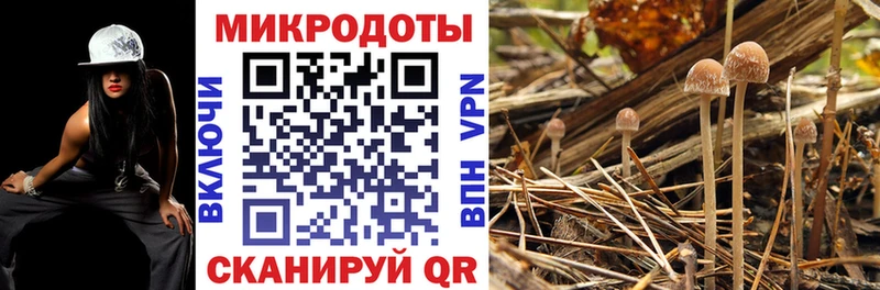 Галлюциногенные грибы Magic Shrooms  как найти закладки  Черемхово 