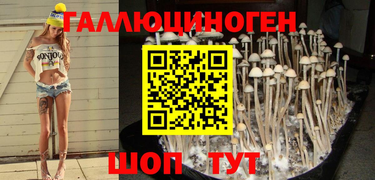 Галлюциногенные грибы прущие грибы Черемхово
