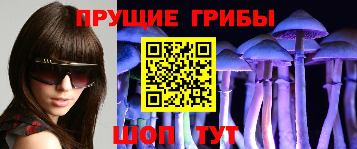 Псилоцибиновые грибы ЛСД  купить наркотик  Псилоцибиновые грибы Psilocybine cubensis  Черемхово  Вход с VPN 